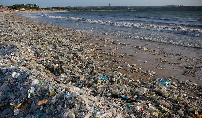 Plastik Atıklar Deniz Canlılarını Olumsuz Etkiliyor