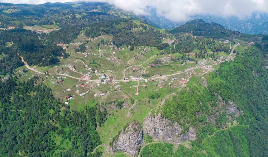 Uzmanlar Uyarıyor: "Akciğer hastaları yaylalardan uzak durmalı"