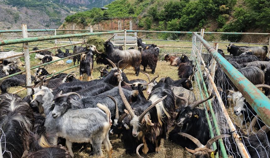 “Adam vurmadan bizi mapusa attınız”