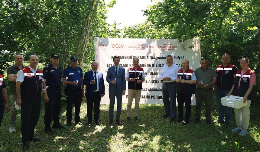 Kahverengi Kokarca ile Biyolojik Mücadele Başladı