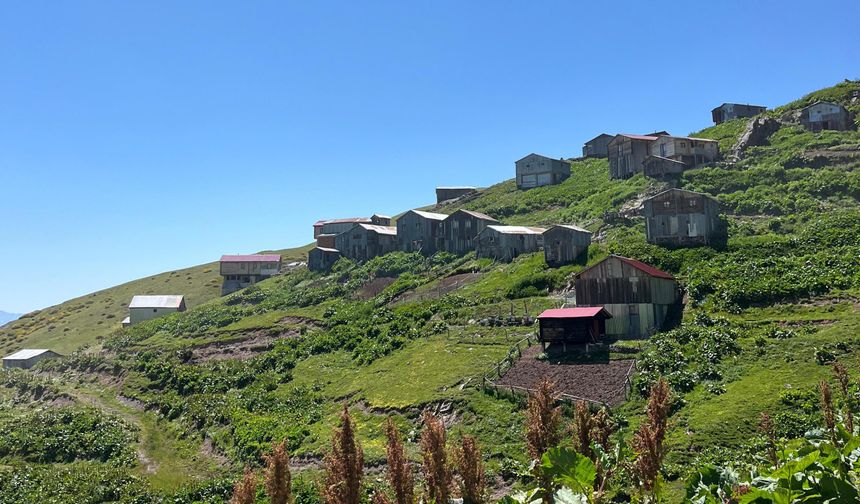 Yaylaya Göç Başladı