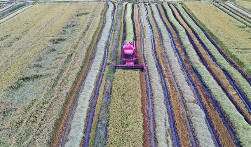 Çiftçilere 865 Milyon Liralık Destekleme Ödemesi Bugün Yapılacak