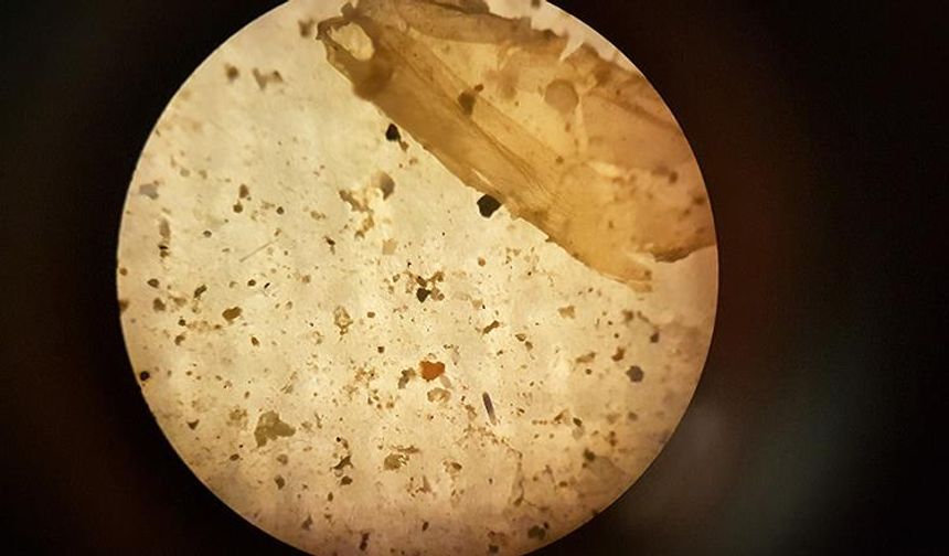 İnsanlar, Günde On Binlerce Mikroplastik Parçacığı Soluyor Olabilir