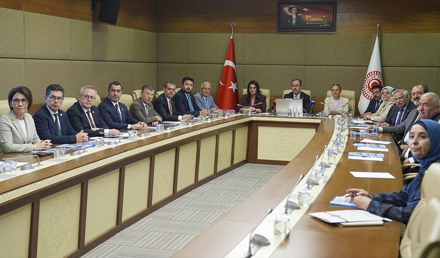 TBMM Engellilerin Sorunlarını Araştırma Komisyonu İlk Toplantısını Yaptı