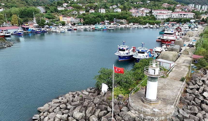 Karadenizli balıkçılar yeni sezonda hamsiden umutlu