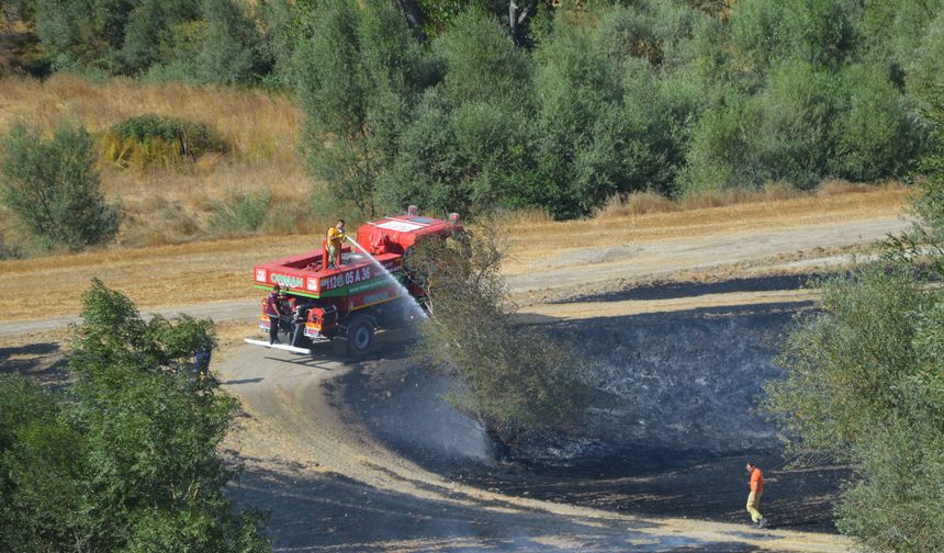 Samsun'da anız yangınlarında yaklaşık 620 dekar tarım arazisi zarar gördü