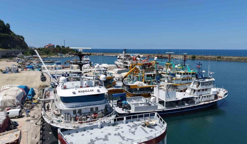 Karadeniz’de balıkçılar yeni av sezonundan umutlu: Palamut görüldü, hamsi bekleniyor