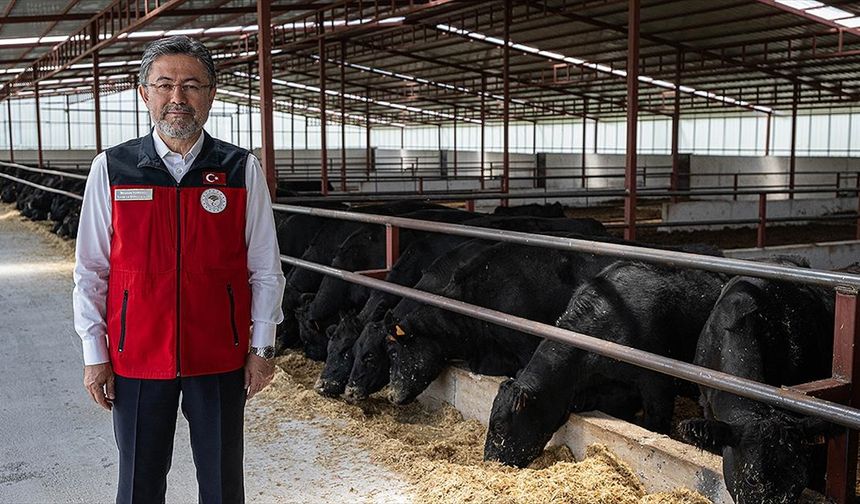 Bakan Yumaklı: Türkiye'deki büyükbaş ve küçükbaş hayvan sayısında haziran ayı itibarıyla artış yaşandı