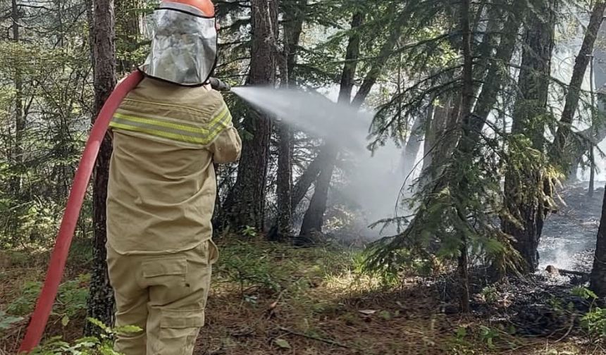 Kastamonu'da çıkan orman yangını söndürüldü