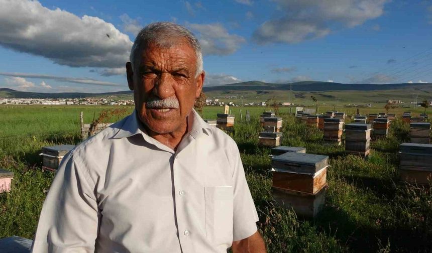 Ardahan’da 450 ton bal üretildi