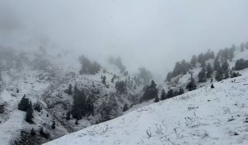Artvin’de Yaylalar Kar Altında