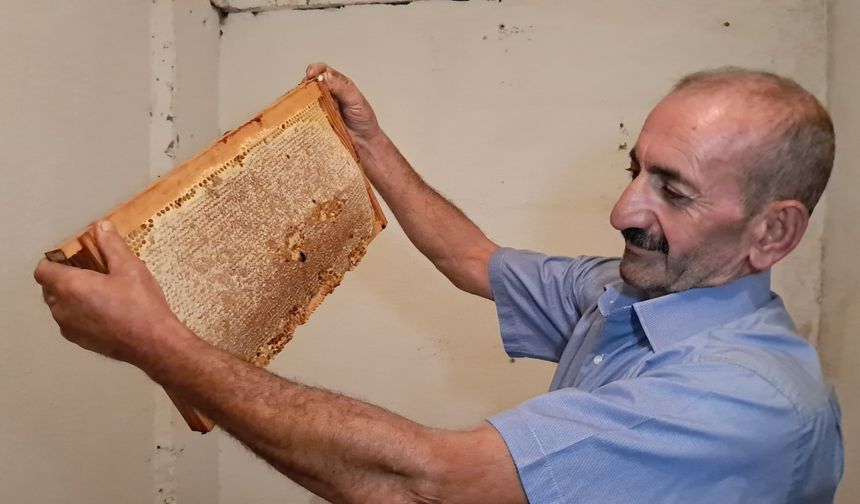 Ardanuç'ta Arıcılar Maliyetlere Dayanamıyor