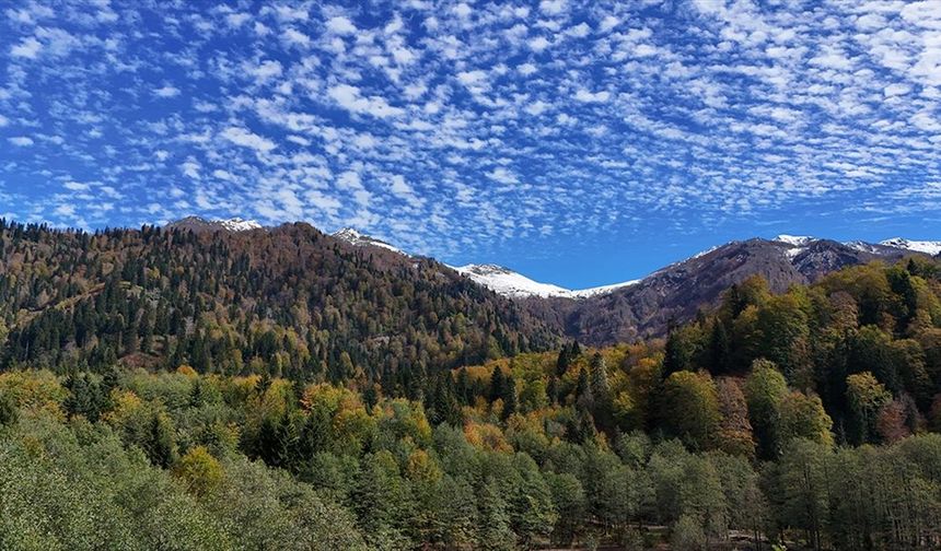Artvin'deki Borçka Karagöl Tabiat Parkı Sonbahar Renklerine Büründü
