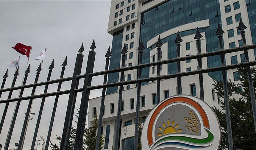 Tarım ve Orman Bakanlığı 200 sözleşmeli personel alacak