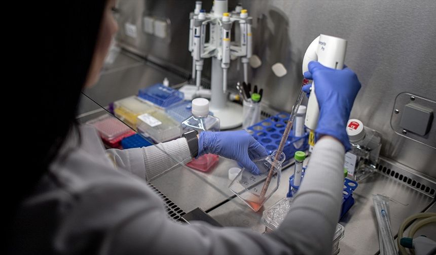 Türkiye'de geçen yıl 651,8 milyar liralık AR-GE harcaması yapıldı