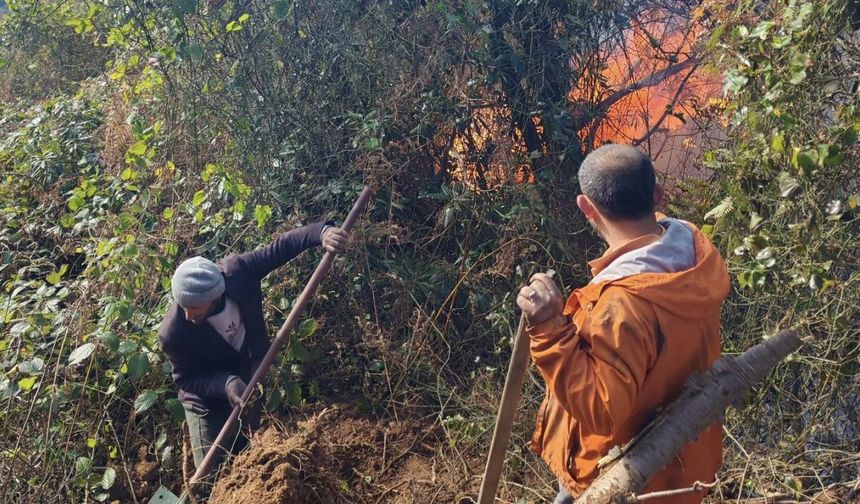 Hopa’da Yangınla Mücadele Sürüyor
