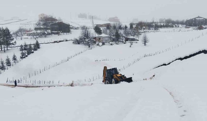 Ordu’da karla mücadele çalışmaları