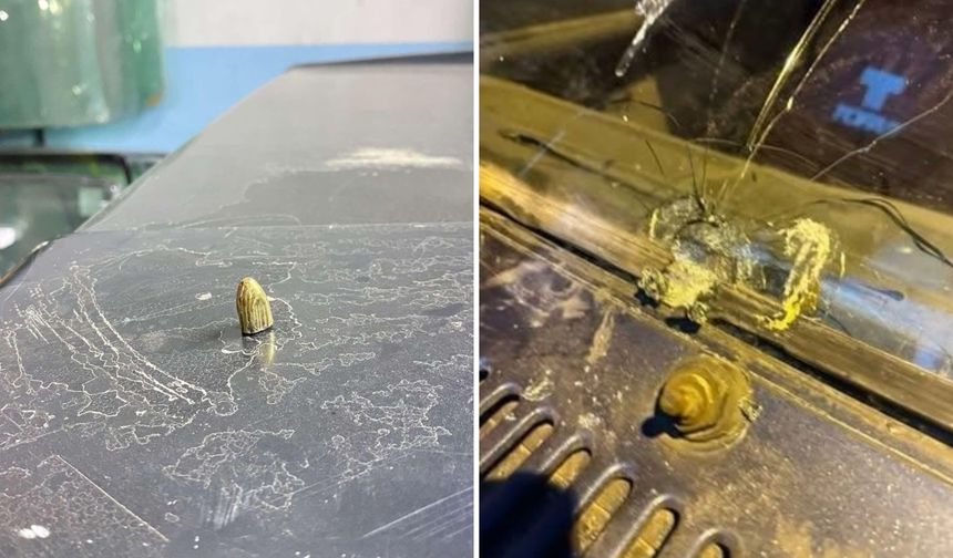 Artvin’de Maganda Kurşunu Park Halindeki Araca ve İş Yerine İsabet Etti