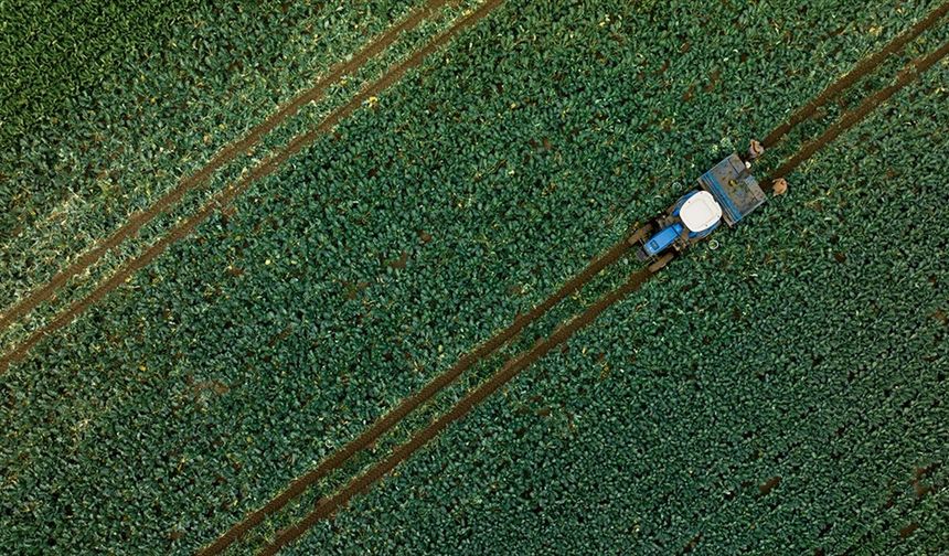 Çiftçilere 1,1 milyar liralık tarımsal destekleme ödemesi bugün yapılacak