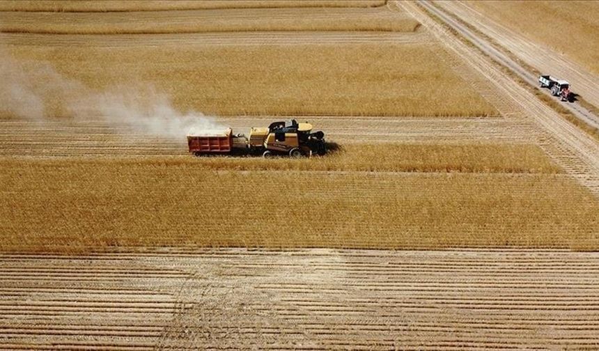 Çiftçilere 2,5 milyar lira tarımsal destekleme ödemesi bugün yapılacak