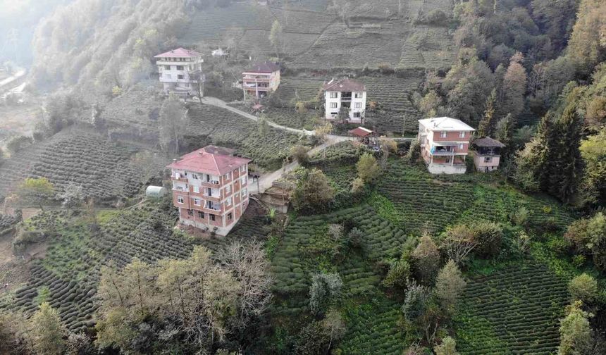 Karadeniz'de tuğlalı yapılar hem göze hem de cebe zarar