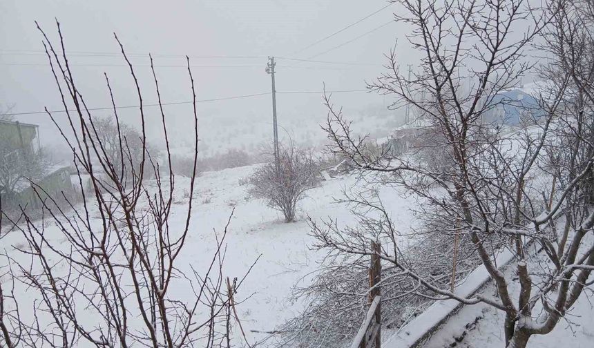 Posof'ta kar yağışı etkili oluyor