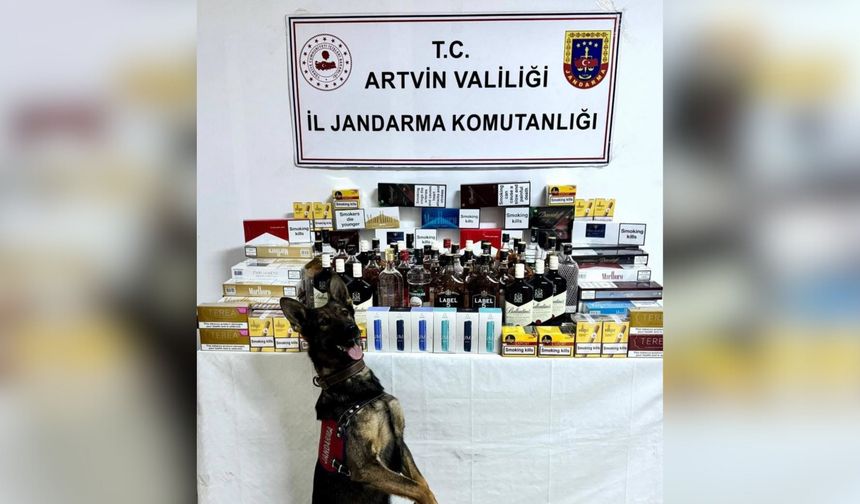 Artvin'de Kaçakçılıkla Mücadele Devam Ediyor