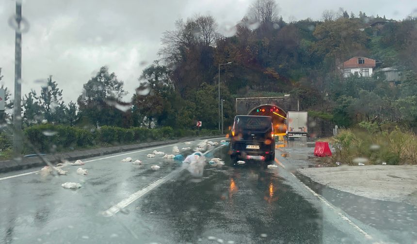 Ana Yolda Çöpler Sürücüleri Zorladı