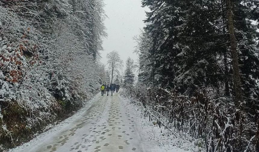 Patika’dan Borçka’da Doğa Yürüyüşü
