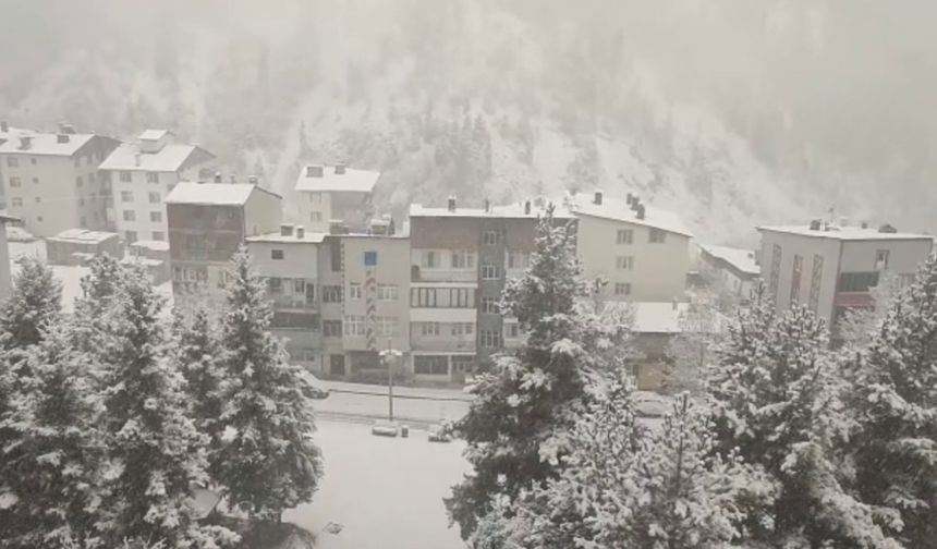 Şavşat İlçesinde Kar Yağışı Etkili Oluyor