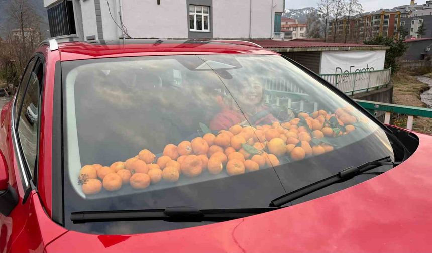 Artvin'de Mandalina Bereketi Torpidoya Taştı