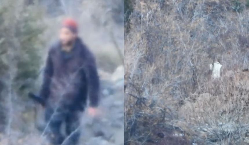 Artvin'de Yasa Dışı Avcılığa Geçit Yok