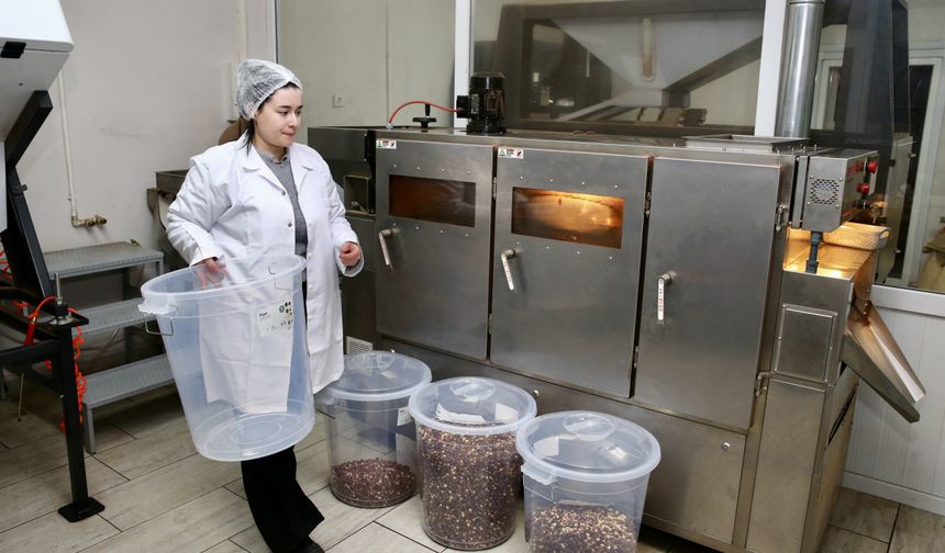 Fındık işleme tesisi için devlet desteği alan kadın, kendi işinin patronu oldu