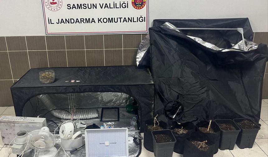 Samsun'da uyuşturucu operasyonunda 1 zanlı yakalandı