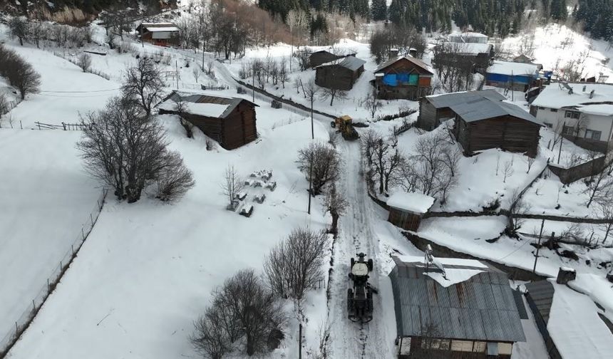 Artvin Orman Bölge Müdürlüğü'nden Karla Mücadeleye Destek