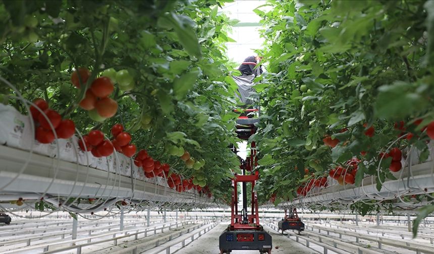 IPARD-III kapsamında 214 projeye 1,7 milyar lira hibe verilecek