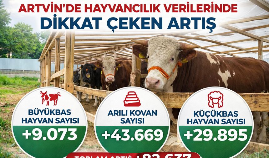Hayvancılık Verilerinde Dikkat Çeken Artış