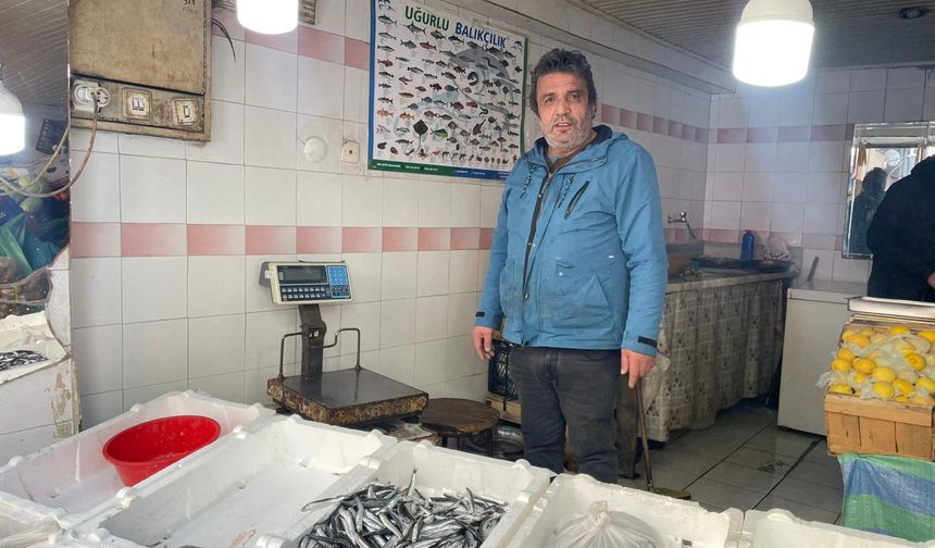 Hamsi Geri Döndü, Fiyatı Cep Yaktı