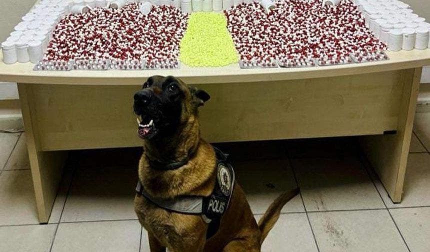 Artvin’de Uyuşturucu Operasyonu