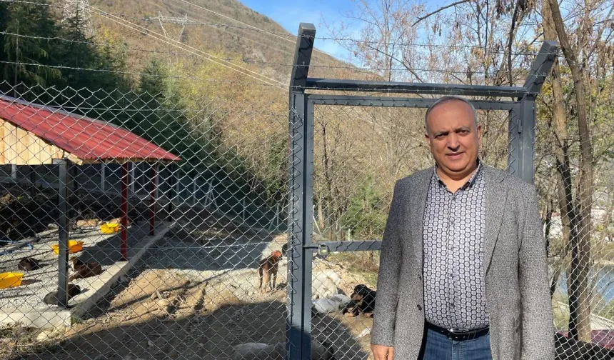 “Barınakta 140 Canın Yaşamını Sürdürüyoruz”