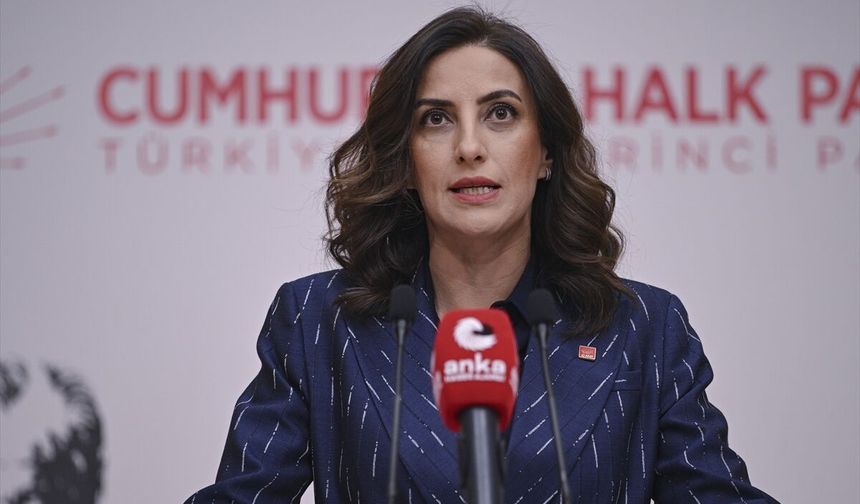 CHP'li Rızvanoğlu, basın toplantısı düzenledi: