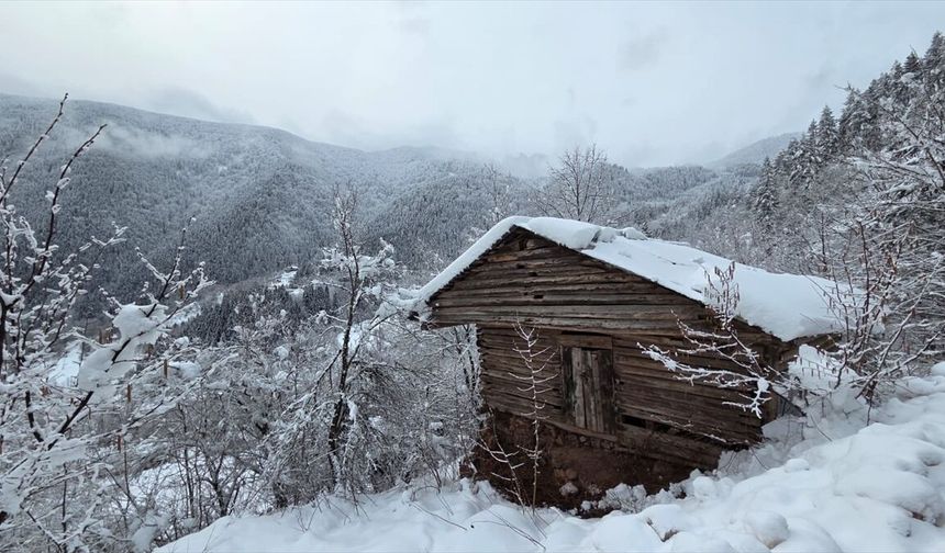Artvin'de Kar Etkili Oluyor