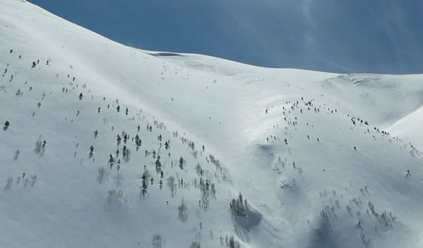 Artvin'de Çığ Faciası