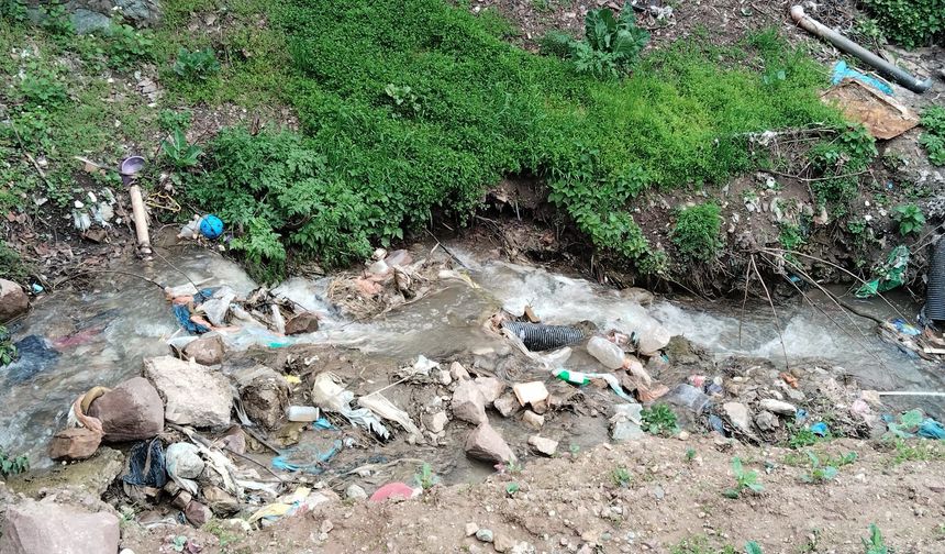 Artvin Bunu Mu Hak Ediyor?