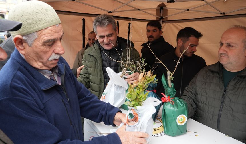 7 Bin Fidan Dağıtıldı