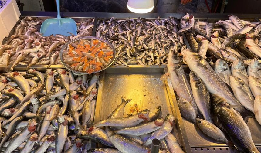 Fiyatı Dipte, Talep Neden Zirvede Değil?