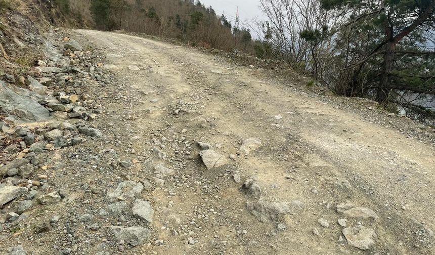 Şehre Yakın, Hizmete Uzak