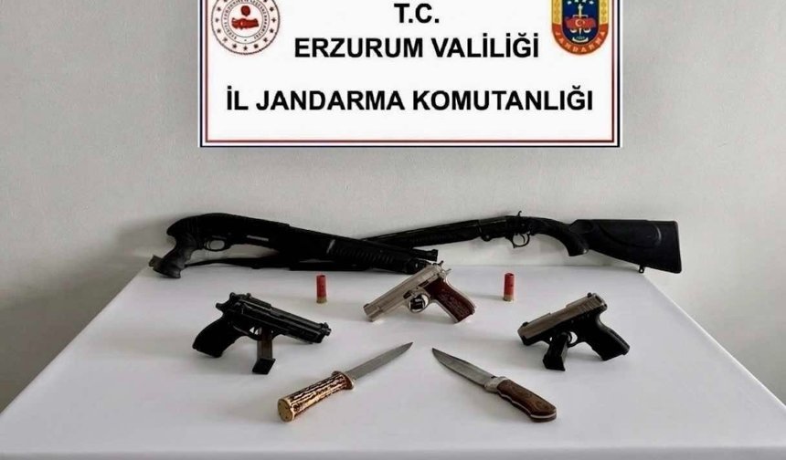 Jandarmadan operasyon: 2 şahıs ve çok sayıda silah yakalandı