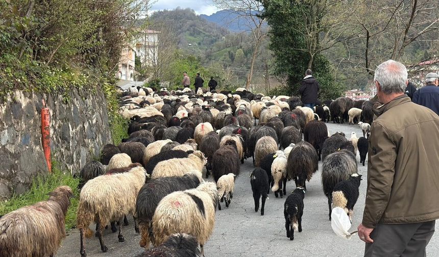Zorlu Yayla Göçü Başladı
