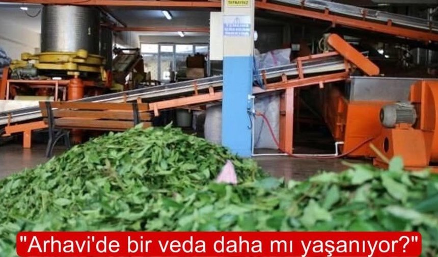 Çay fabrikası kapanıyor mu?